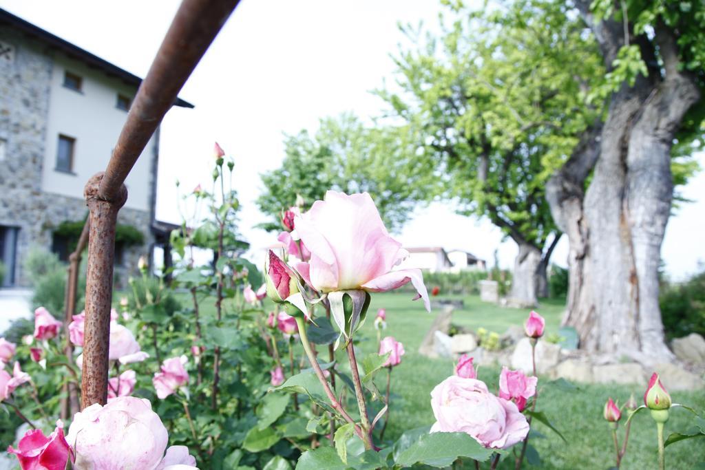 Massoni Bed And Breakfast Peschiera del Garda Eksteriør bilde